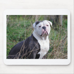 Engelse Bulldog Muismat