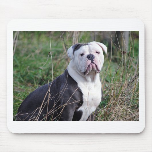 Engelse Bulldog Muismat (Voorkant)