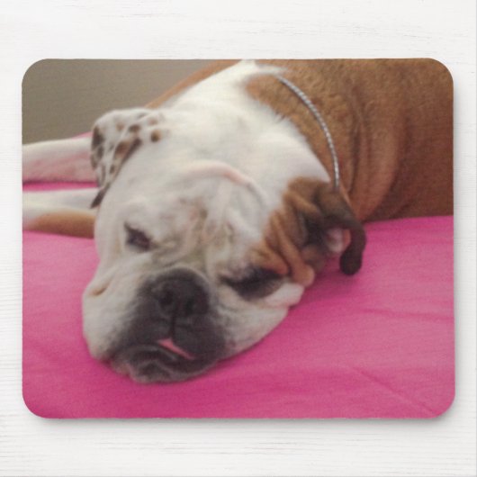 Engelse Bulldog Muismat (Voorkant)