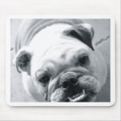 Engelse Bulldog Muismat (Voorkant)