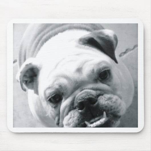 Engelse Bulldog Muismat (Voorkant)