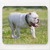 Engelse Bulldog Muismat (Voorkant)