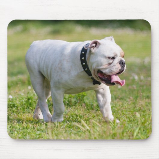 Engelse Bulldog Muismat (Voorkant)