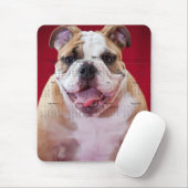 Engelse Bulldog Muismat (Met muis)