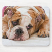 Engelse Bulldog Muismat (Voorkant)