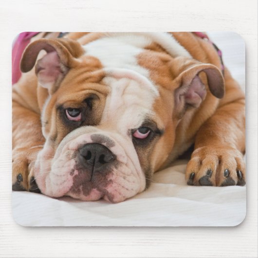 Engelse Bulldog Muismat (Voorkant)