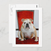 Engelse bulldog op de troon briefkaart (Voorkant / Achterkant)