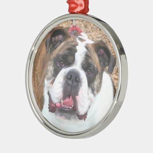 Engelse bulldog ornament (Links)