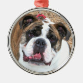 Engelse bulldog ornament (Voorkant)