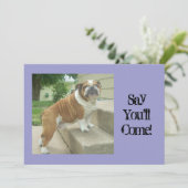 Engelse Bulldog Party-uitnodigingen Kaart (Staand voorkant)