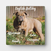 Engelse Bulldog Plaquette met Ezel Fotoplaat (Voorkant)