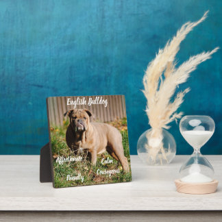 Engelse Bulldog Plaquette met Ezel Fotoplaat