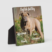 Engelse Bulldog Plaquette met Ezel Fotoplaat (Voorkant)