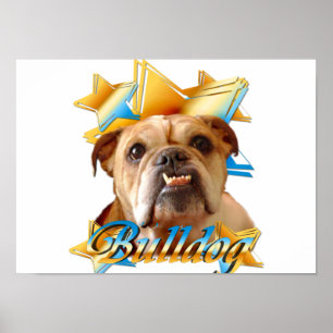 Engelse bulldog poster