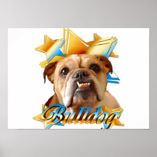 Engelse bulldog poster (Voorkant)