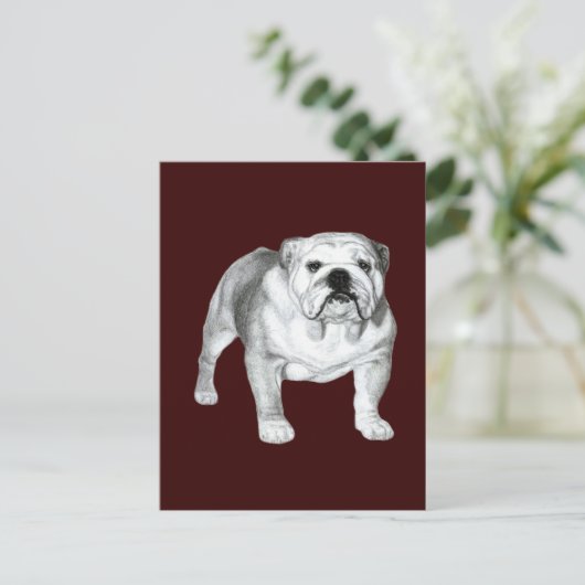 Engelse Bulldog - Potloodtekening Briefkaart (Staand voorkant)