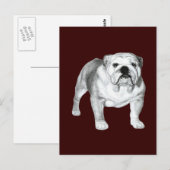 Engelse Bulldog - Potloodtekening Briefkaart (Voorkant / Achterkant)