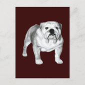 Engelse Bulldog - Potloodtekening Briefkaart (Voorkant)