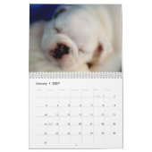 Engelse Bulldog Puppies 2011 Agenda Kalender (Jan 2027)