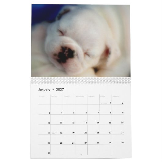 Engelse Bulldog Puppies 2013 Agenda Kalender (Jan 2027)