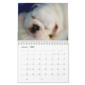 Engelse Bulldog Puppies 2016 Agenda Kalender (Jan 2027)