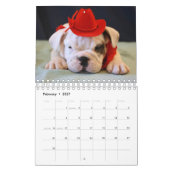 Engelse Bulldog Puppies 2016 Agenda Kalender (Feb 2027)