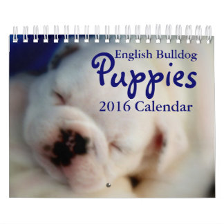 Engelse Bulldog Puppies 2016 Agenda Kalender