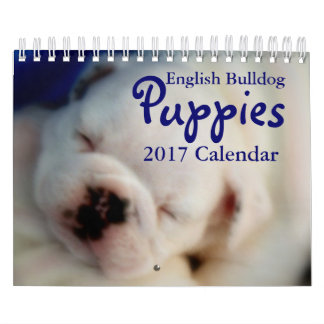 Engelse Bulldog Puppies 2017 Agenda Kalender