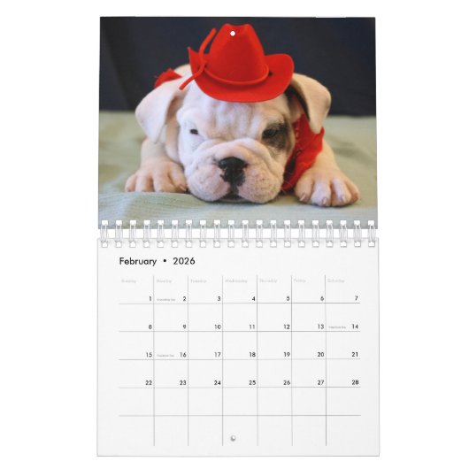 Engelse Bulldog Puppies 2018 Agenda Kalender (Feb 2026)