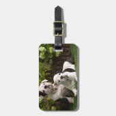 Engelse Bulldog Puppies Bagagelabel (Voorkant verticaal)