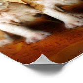 Engelse Bulldog Puppies Echt waar Poster (Hoek)