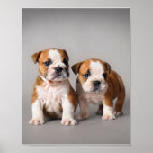 Engelse Bulldog Puppies | Kogelhond van de paardeh Poster (Voorkant)