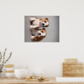 Engelse Bulldog Puppies | Kogelhond van de paardeh Poster (Keuken)