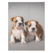 Engelse Bulldog Puppies | Kogelhond van de paardeh Tafelkleed (Voorkant)