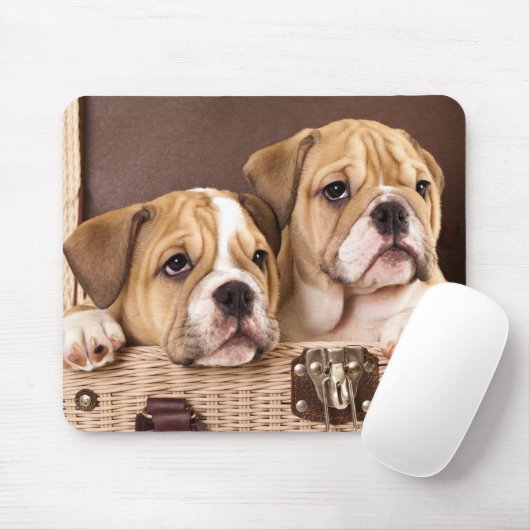 Engelse Bulldog Puppies Mousepad Muismat (Met muis)