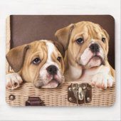 Engelse Bulldog Puppies Mousepad Muismat (Voorkant)