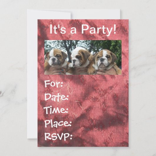 Engelse Bulldog Puppies party Invitations Kaart (Voorkant)