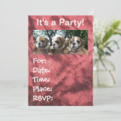 Engelse Bulldog Puppies party Invitations Kaart (Staand voorkant)