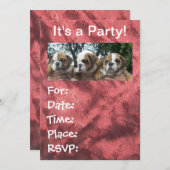 Engelse Bulldog Puppies party Invitations Kaart (Voorkant / Achterkant)