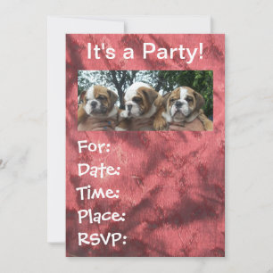 Engelse Bulldog Puppies party Invitations Kaart