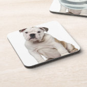 Engelse bulldog puppy (2 maanden oud) bier onderzetter (Linkerzijde)