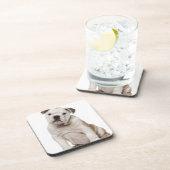 Engelse bulldog puppy (2 maanden oud) bier onderzetter (Rechterzijde)