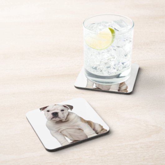 Engelse bulldog puppy (2 maanden oud) bier onderzetter (Rechterzijde)