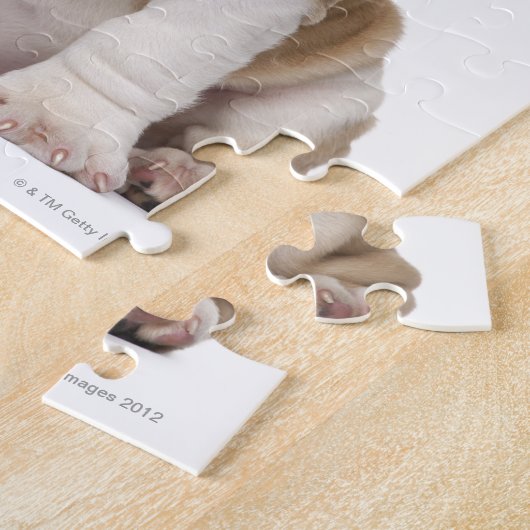 Engelse bulldog puppy (2 maanden oud) legpuzzel (Zijkant)