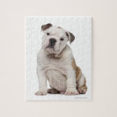 Engelse bulldog puppy (2 maanden oud) legpuzzel (Verticaal)
