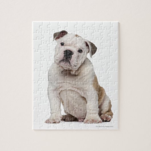 Engelse bulldog puppy (2 maanden oud) legpuzzel (Verticaal)