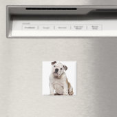 Engelse bulldog puppy (2 maanden oud) magneet (Insitu (Vaatwasser))