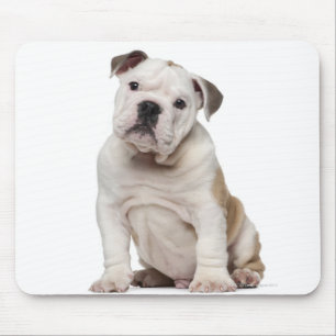Engelse bulldog puppy (2 maanden oud) muismat