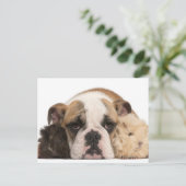 Engelse bulldog puppy (4 maanden oud) en twee guin briefkaart (Staand voorkant)