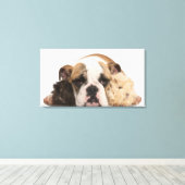 Engelse bulldog puppy (4 maanden oud) en twee guin canvas afdruk (Insitu (Houten vloer))